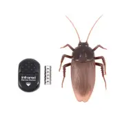 Top Infrared Remote Control Mock Fake Ants/ Cockroaches /Spiders RC Toy for3805