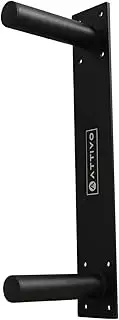 Olympic Weight Plate Wall Storage Rack - 2 Pegs