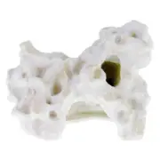 Exotic Environments Holey Rock Cave Ornament 6.5"L x3.5"W x 4.5"H