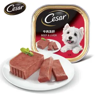 【Cesar 西莎】經典風味餐盒 100g*24入 寵物/狗罐頭/狗食