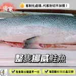 (温好鮮-水產) 整隻生食級挪威鮭魚(12斤~12斤半)附發票