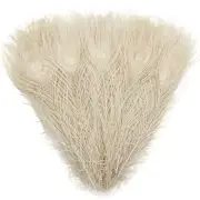 20pcs Peacock Feathers 10-12Inch Feather for Crafts Hat Costume Off White