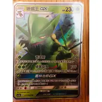 在飛比找蝦皮購物優惠-PTCG 蜥蜴王 GX AC2a 017/200 RR