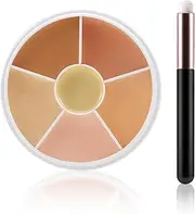 Apooliy 6 Colors Concealer Palette with Brush,Full Coverage,Cream Contouring Makeup Kit,Corrects Dark Circles Red Marks Scars