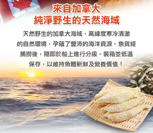 【愛上新鮮】加拿大黃金爆卵柳葉魚(225g±10%/包) (4.8折)