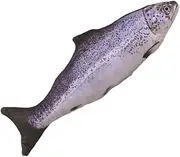 3D Fish Pillow Plushie - Big Stuffed Plush Toy - Giant Trout Cushion - Cat Toy Crucian Carp