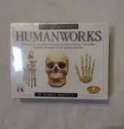 Eyewitness Homeschool Skeleton Casting Model Kit Science Humanworks