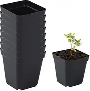 POTS Viver - Beginner Players 50 Units, Seedling Pots, Square, Black, Reusable | Speed Pots, Nursery Pot, Plant Gardening Kit P