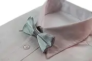 [Zasel] Boys Silver Plain Bow Tie
