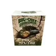 Dig Out & Discover Kit Mini - Fossil Mixture