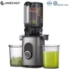 AMZCHEF Fruit Juicer Slow Juicer Vegetable Processor Cold Press Low Noise 150W