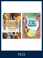 Flying Start Guided Reading Level 21, Pack 3