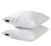Decorative Throw Pillow Inserts-Down Feather Pillow Inserts-Square-Cotton 20x20