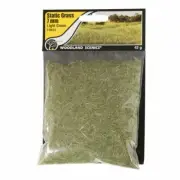 Woodland Scenics 623 STATIC GRASS Package. 1/4" Light Green 7mm Fibers - NIB