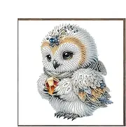 Générique Bird Gem Art Kits, Crystal Hand-Made 5D Gem Art, Rhinestone Dots Full Drill Kit, Gem Painting for Adults, Jewelry Art Crafts, Embroidery Craft Projects for Teens and Adults