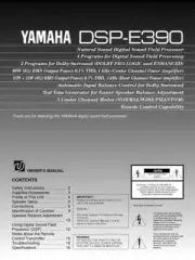 Yamaha DSP-E390 Amplifier Owners Manual