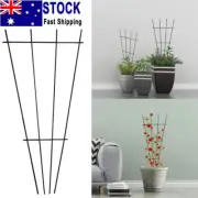Garden Metal Plant Climbing Support Frame Flower Plant Growing Lattice Trellis