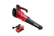 Baumr-AG 20V Electric Leaf Blower Cordless Hand-Held Garden Air Blowing Tool 2.0Ah Battery Powered