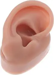 FRCOLOR 1Pc Ear Model for Piercing Practice Realistic Simulation Display Prop for Ear Piercing Jewelry Display and Ear Cleaning Exercises Brown Right Ear