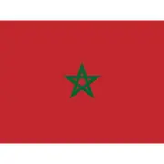 Morocco National Flag World Flags Country Poster Huge Art Print Picture 18X24 In