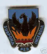 ARMY CREST DUI,*NEW* SPECIAL TRPS BN 3RD BDE 4 INF D