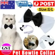 Neck tie Cat Dog Black and White Tuxedo Bow Tie Party Pet Wedding