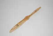 XOAR PROP 29X10 WOOD PUSHER LAMINATED