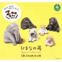 在飛比找Yahoo奇摩購物中心優惠-全套6款 日本正版 休眠動物園 P3 特別色篇 扭蛋 轉蛋 