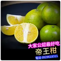 在飛比找蝦皮購物優惠-帝王柑【嫁接苗】大家公認好吃的橘子，茂谷 砂糖桔 砂糖柑 美