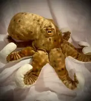 Wild Republic Octopus Plush Brown Speckled 12”