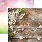 Springtime - Signs of Spring - 12X12 Scrapbook Papers by Reminisce - 5 Sheets
