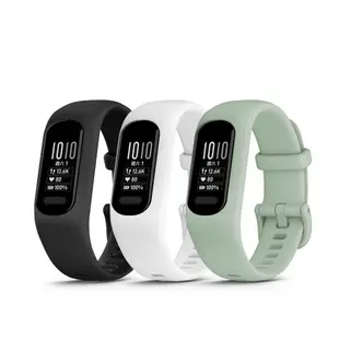 GARMIN Vivosmart 5 健康心率手環 (Vivosmart5)