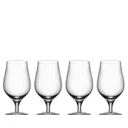 Orrefors Beer Collection Taster Glass, Set of 4