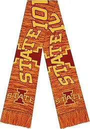 [FOCO] NCAA Iowa State Cyclones Wordmark Big Logo Colorblend ScarfWordmark Big Logo Colorblend Scarf, Team Color, One Size