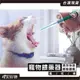 餵藥器 餵藥 寵物餵藥器 投藥器 寵物餵藥 寵物餵藥針筒 快速安全 輔助餵藥