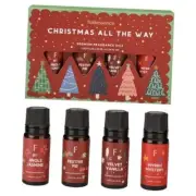 Christmas Essential Oils for Diffuser for Home, Set of 4 Christmas Fragrance