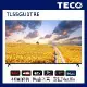 (送桌安) TECO東元 55吋 4K Android連網液晶顯示器 TL55GU1TRE