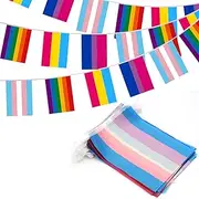 Anley 32pcs Assorted Rainbow String Flags - 4 Mixed Pennant Banners with LGBT, Pansexuality, Bisexuality, and Transgender - 32 Flags 26 Feet