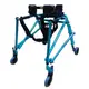 富士康 機械式助行器 FZK-3650 M藍色 後拉式助行車 助步車 身障補助姿勢控制型助行器