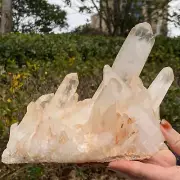 5.56LB Natural white crystal cluster specimen quartz crystal healing