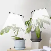 Grow Light 2 Pack, 6000K Full Spectrum Gooseneck Growing Lamp for White