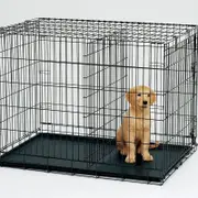 YES4PETS 42' Collapsible Metal Dog Crate With Divider