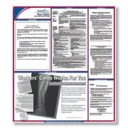 ComplyRight Texas State Labor Law Poster, 24" x 24", Laminated, (Spanish) - 1