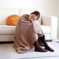 在飛比找momo購物網優惠-【日本Alphax】GOKUDAN極暖輕量雙面毯 單人(懶人