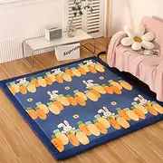 Coral Velvet Area Rugs Play Mat, 100*100cm, 3cm Thick, Plush, Velvet, Memory Foam, 3 Layers, Comfortable and Safe Play Area, Easy to Clean, Versatile Use