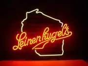Wisconsin State Beer 20"x16" Neon Sign Lamp Light Gift Show Bar Club Wall Room