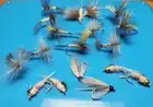 Hendrickson Life Cycle Fly Selection, Hendrickson Dry Fly Selection, 16 Hendrick