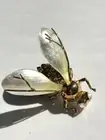 2011 Alexis Bittar large Bumblebee Brooch Bee pin gold plate swarovski crystals