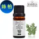 ANDZEN天然草本單方純精油10ml-絲柏