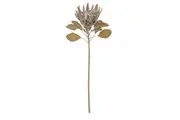 Rogue Dried Look Queen Protea Stem Artificial Flower Indoor Outdoor Home Decor Light Brown 25x25x74cm